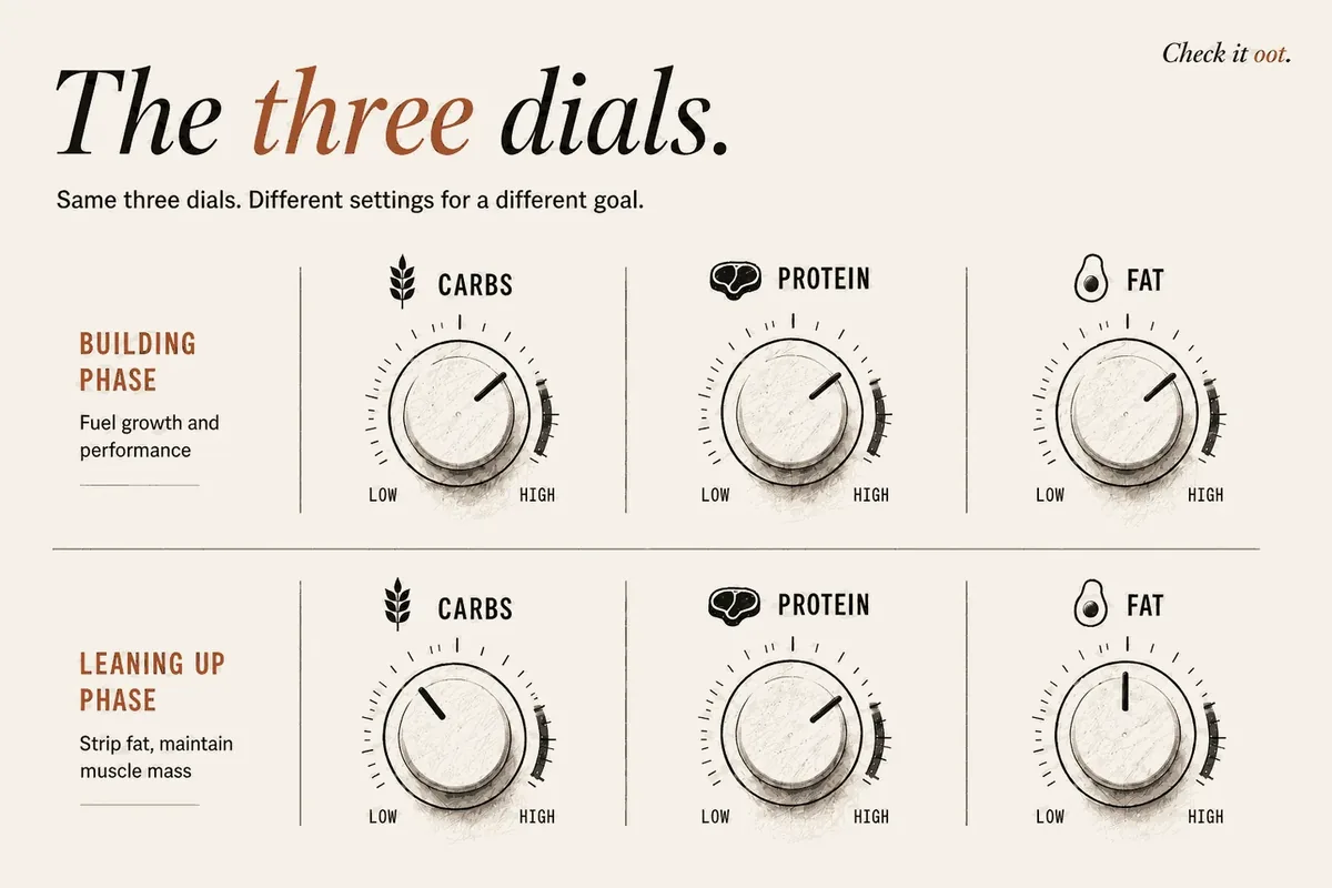 Diagram of the three dials, carbs, protein and fat, shown at two settings. In a building phase, carbs and protein sit high and fat stays moderate. In a leaning up phase, carbs and fat come down while protein stays high.